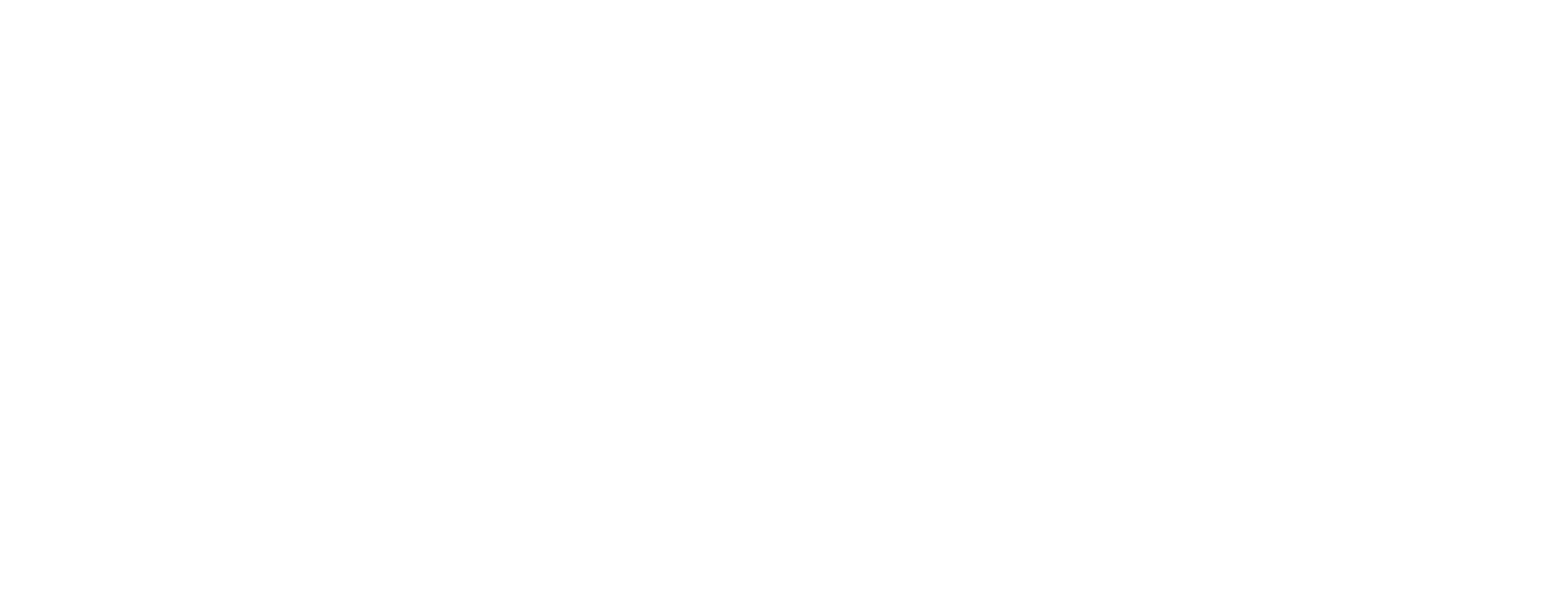 AORUS